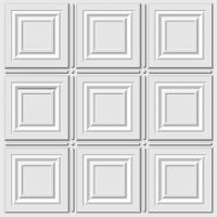 Allusions 2'x2' Lay in Ceiling Tiles - 306